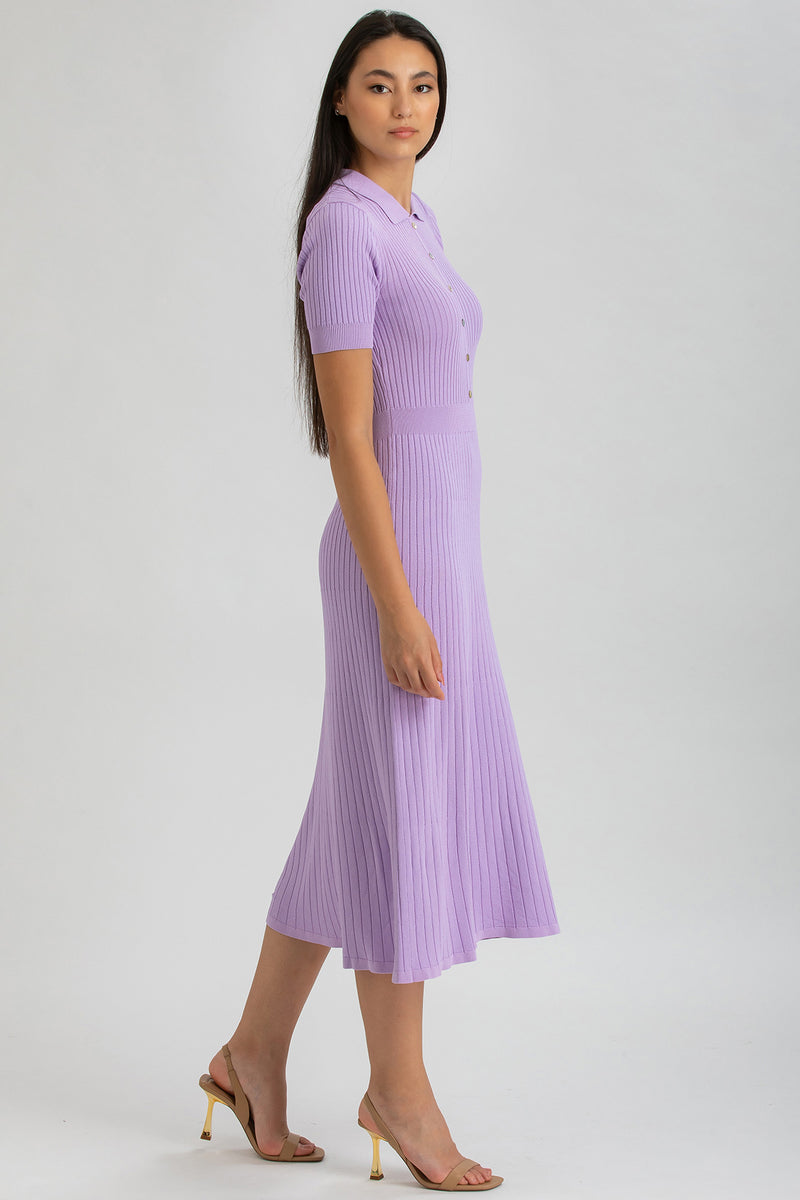 CAMELIA | Purple Flared Dress with Collar