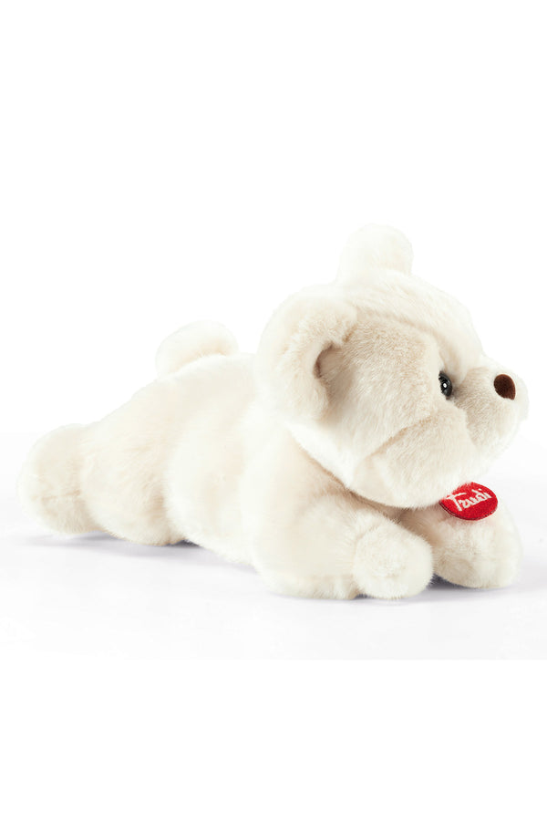 TEO | Ivory Teddy Bear